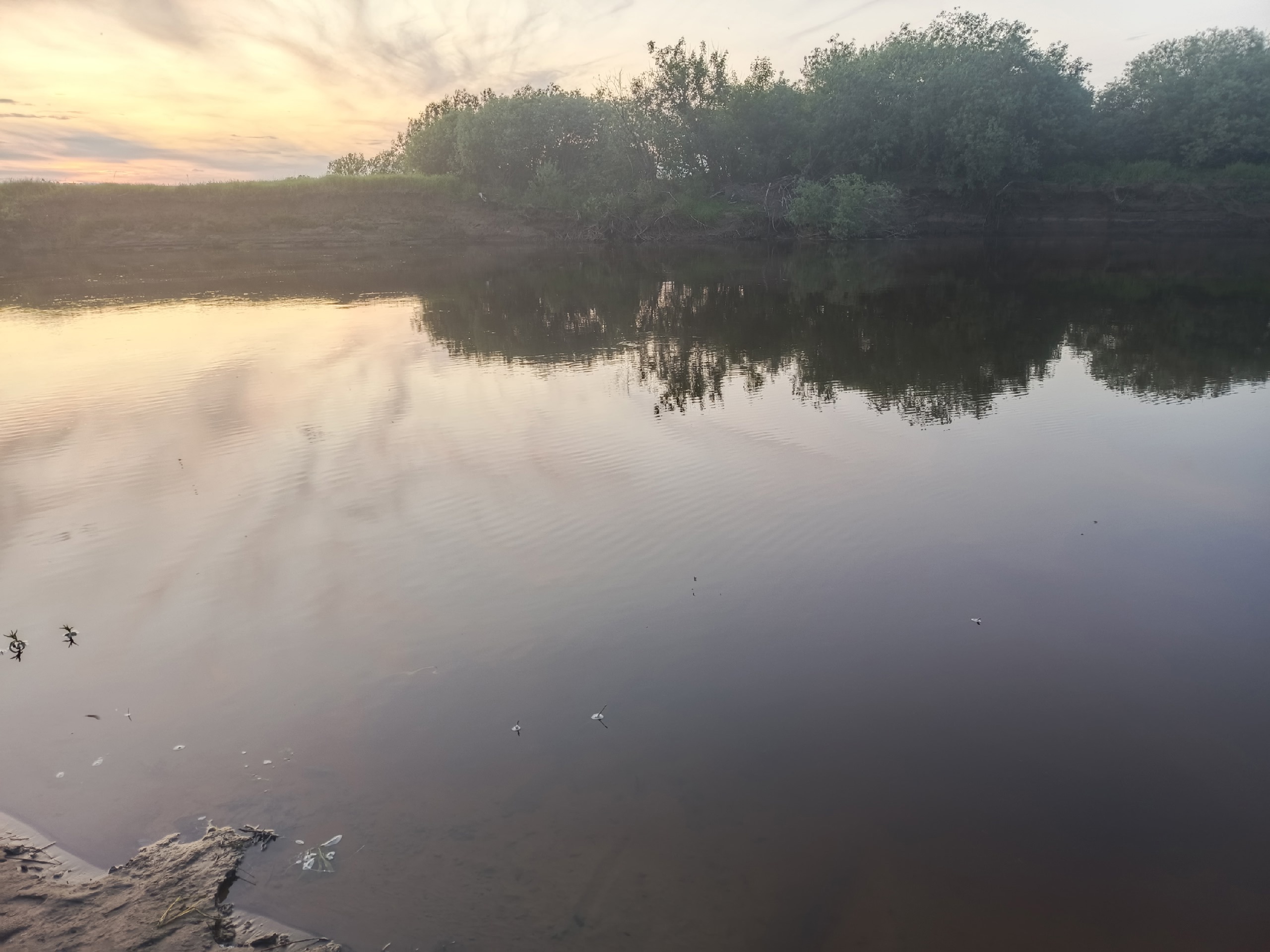 Родительский патруль.
